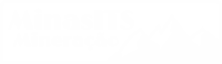 Minas ITS - Projeto